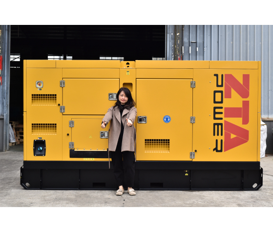 Groupe électrogène diesel ZTA Power 250 kVA SDEC