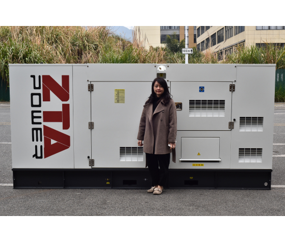 Groupe électrogène diesel Cummins ZTA POWER 250 kVA